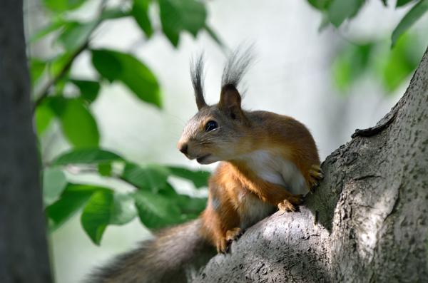 DSC_3629.jpg