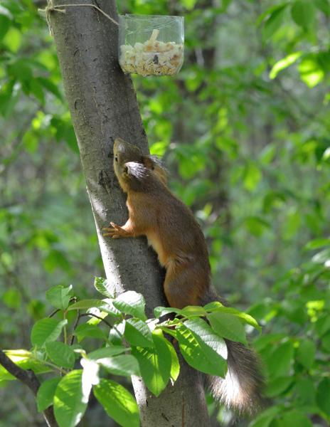 DSC_3637.jpg