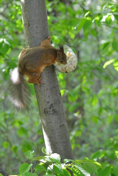 DSC_3639.jpg