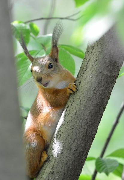 DSC_3661.jpg