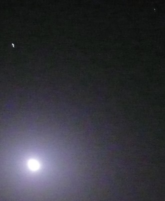P1000632.jpg