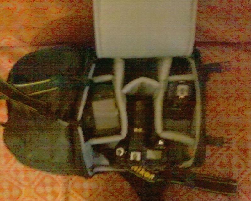 Photo-0006.jpg