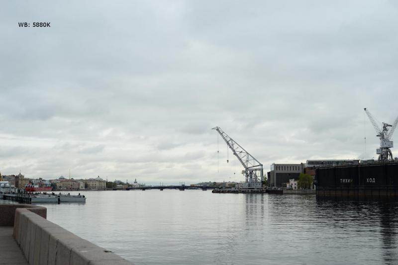 DSC_1604.JPG
