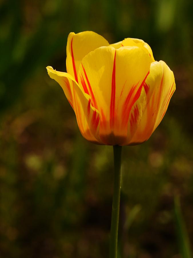 DSC_2837.jpg