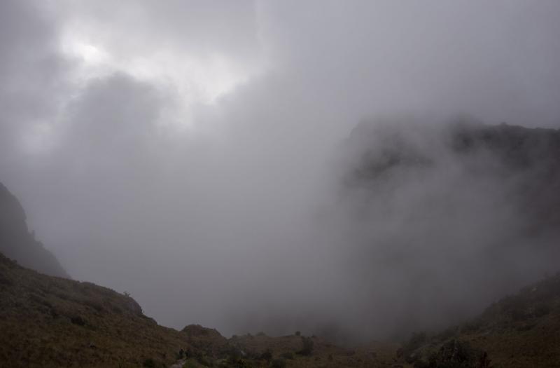 DSC_1381.jpg