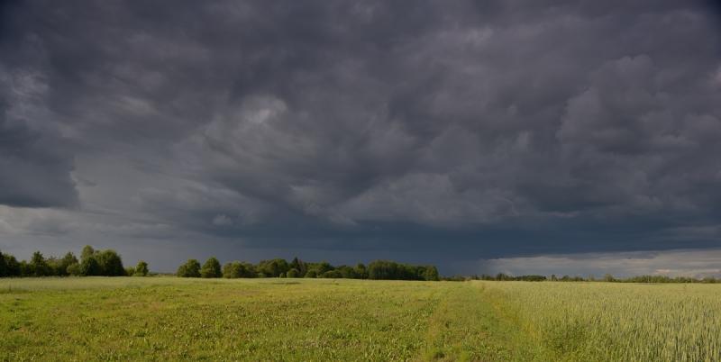 DSC_1860_0026DSC_1860.jpg