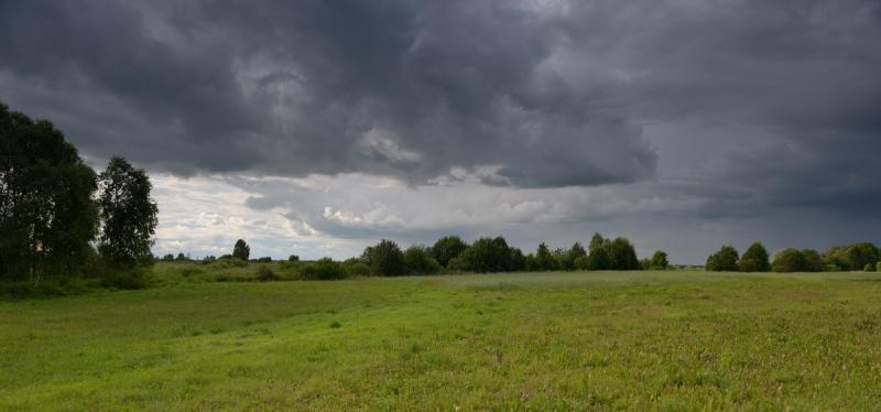 DSC_1865_0029DSC_1865.jpg
