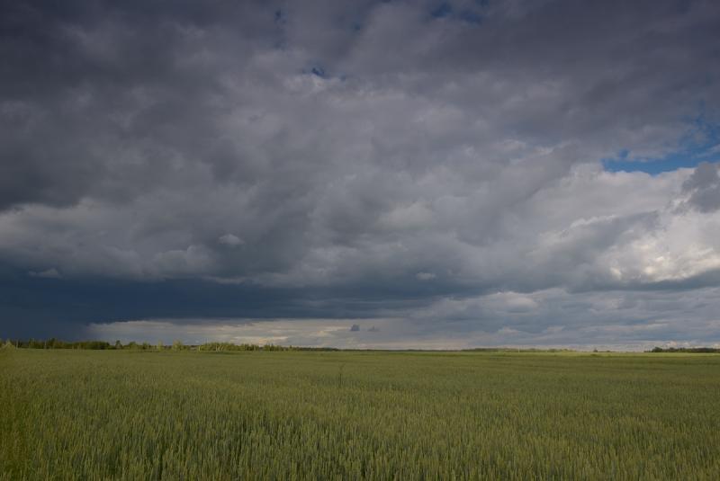 DSC_1867_0031DSC_1867.jpg