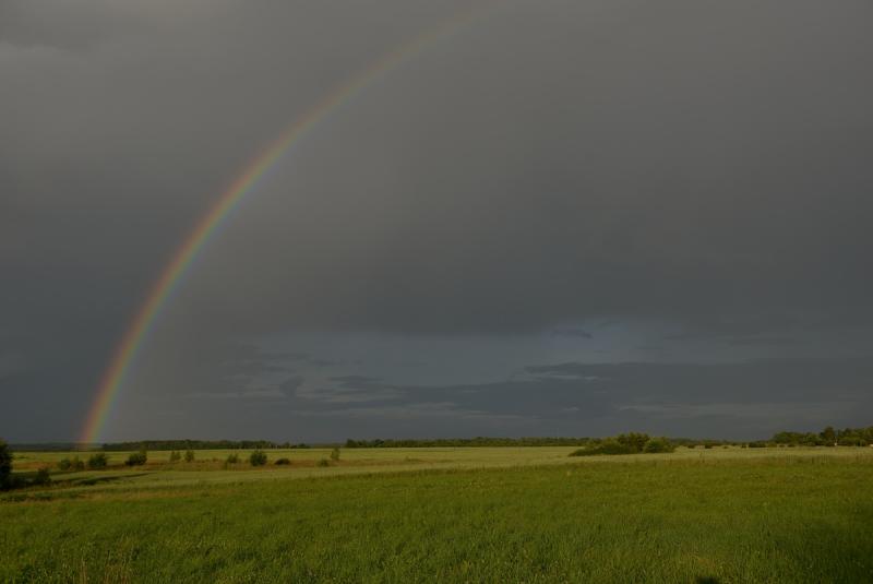 DSC_1877_0036DSC_1877.jpg