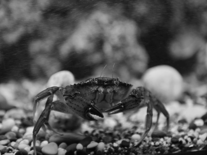 DSC_0387.jpg