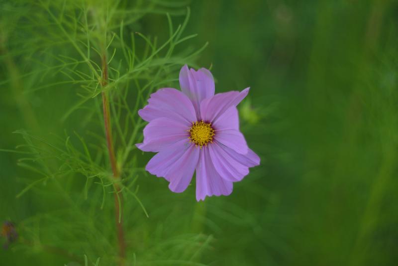 DSC_0849.JPG