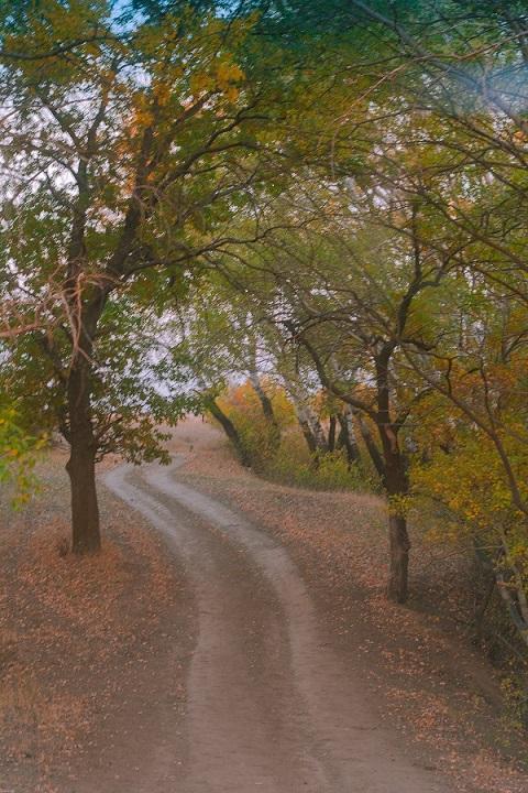 _DSC2353.jpg