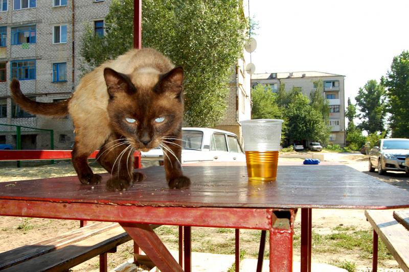 DSC_4000с.jpg