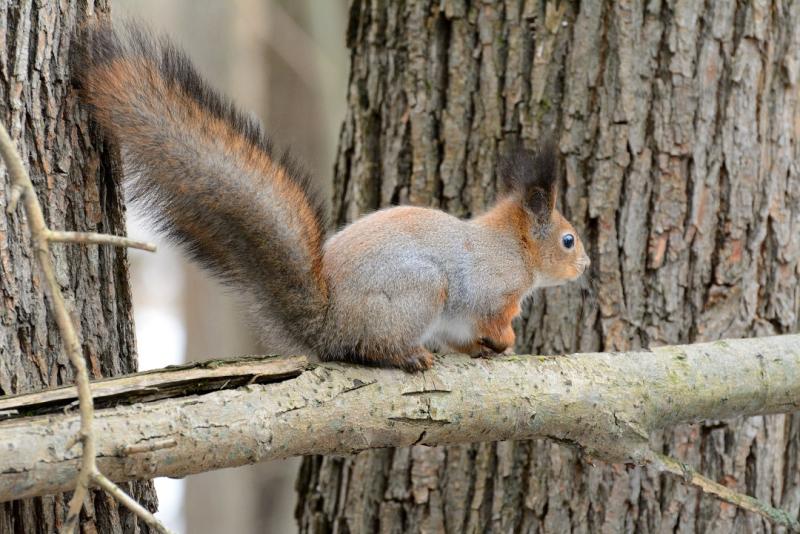 DSC_0435.jpg