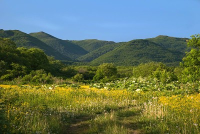 fields_mountain.jpg