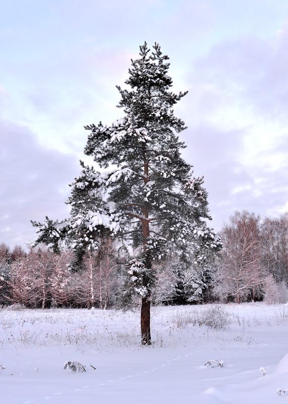 DSC_2408 копия.jpg