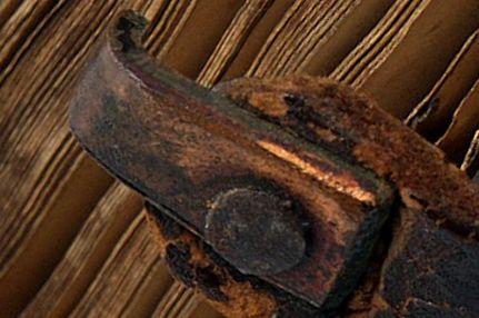 DSC_4560 -11.jpg