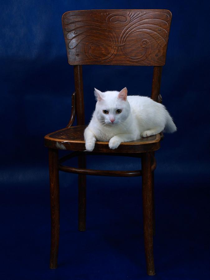 DSC_5002 -1.jpg