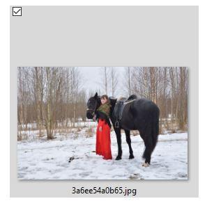 1 Снимок.JPG