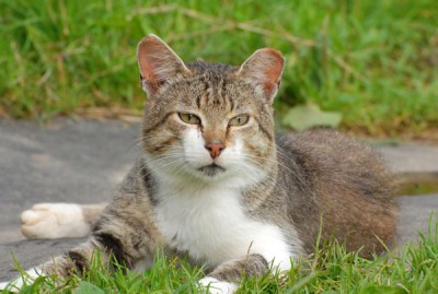 DSC_5869_copy.jpg
