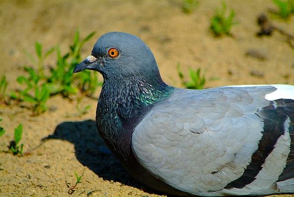 DSCF5668 ккк.jpg