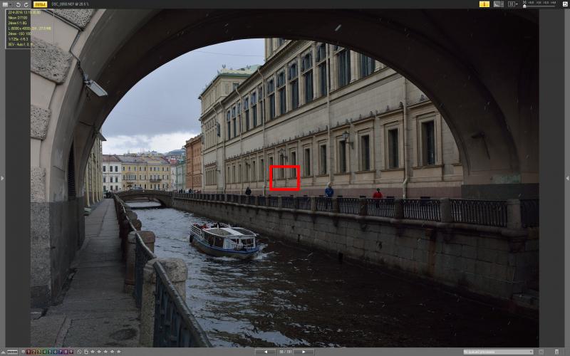 DSC_0050_VX.jpg
