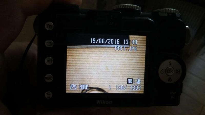 20160619_134948.jpg