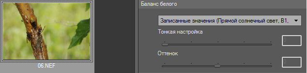 ЗНАЧЕНИЕ ББ.png