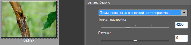 ЗНАЧЕНИЕ ББ 2.png