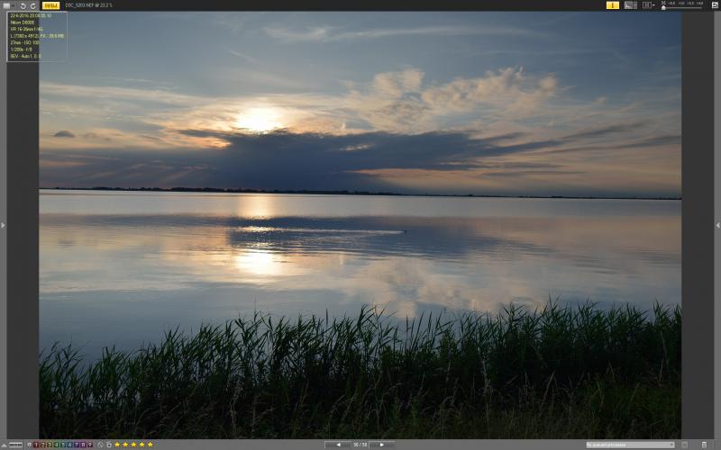 DSC_5203_VX.jpg