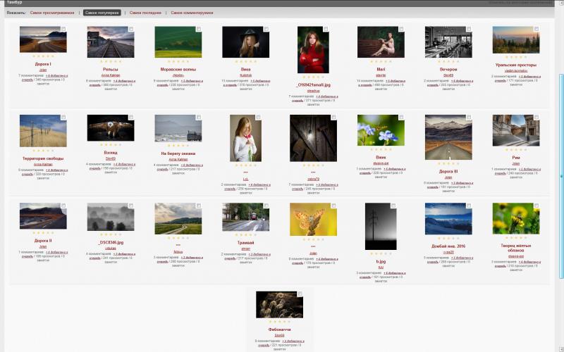 50 week b.jpg