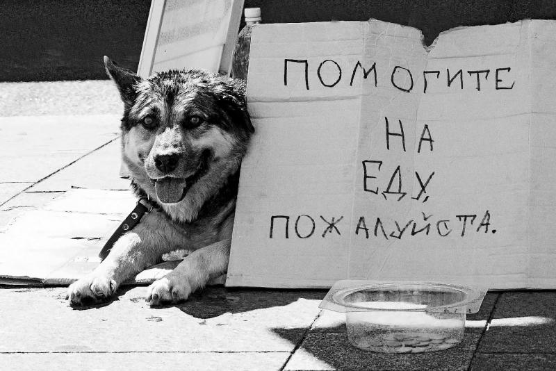_DSC9029ф.jpg