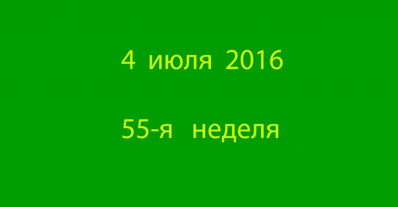 2016 07 04.jpg