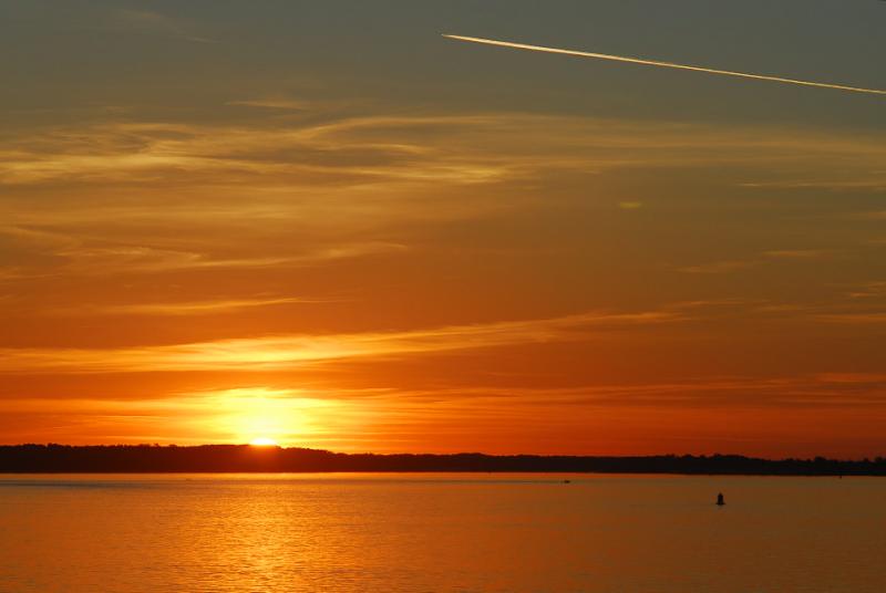 DSC_0488.jpg