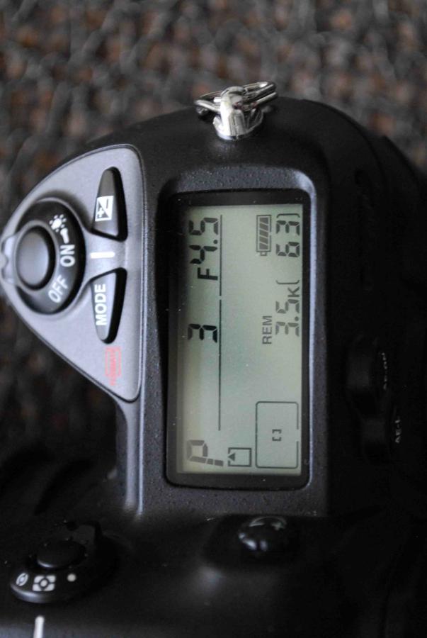 GPP_0188-2.jpg