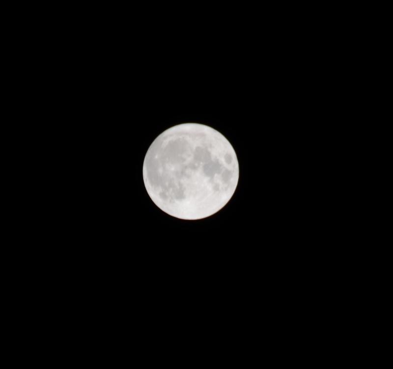 IMG_2648.JPG