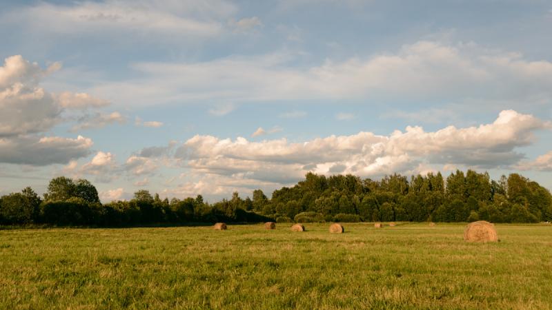 DSC_4949.jpg