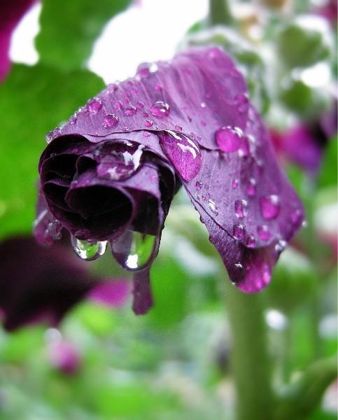 DSCN4952.JPG