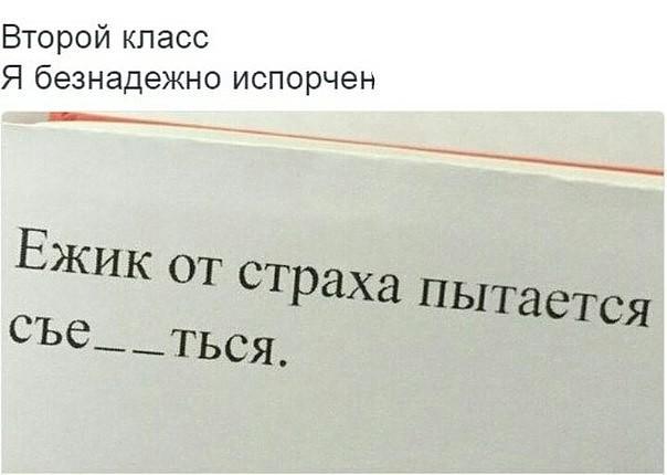 еж.jpg