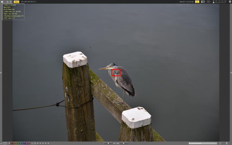 DSC_4641_VX.jpg