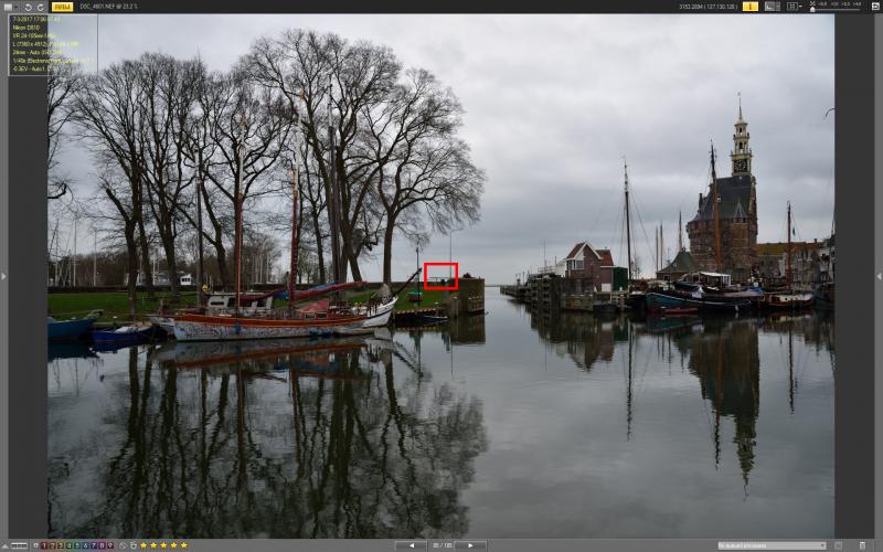 DSC_4601_VX.jpg