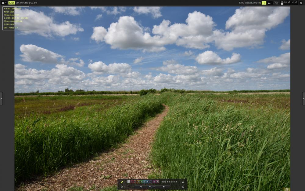 DSC_0691_VX.jpg