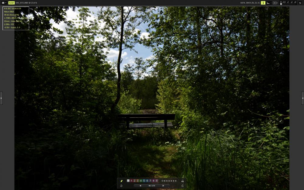 DSC_0713_VX.jpg