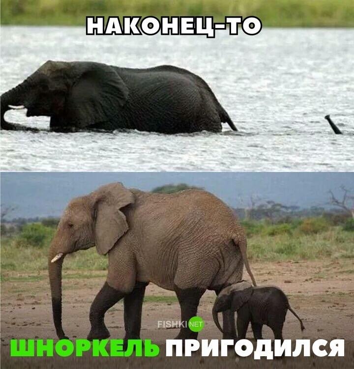 901f3322e743.jpg