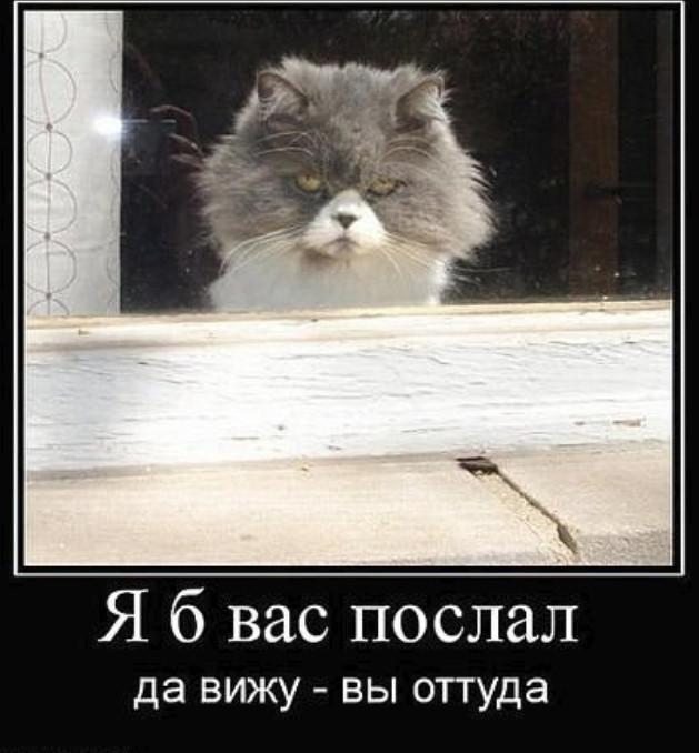 111.jpg