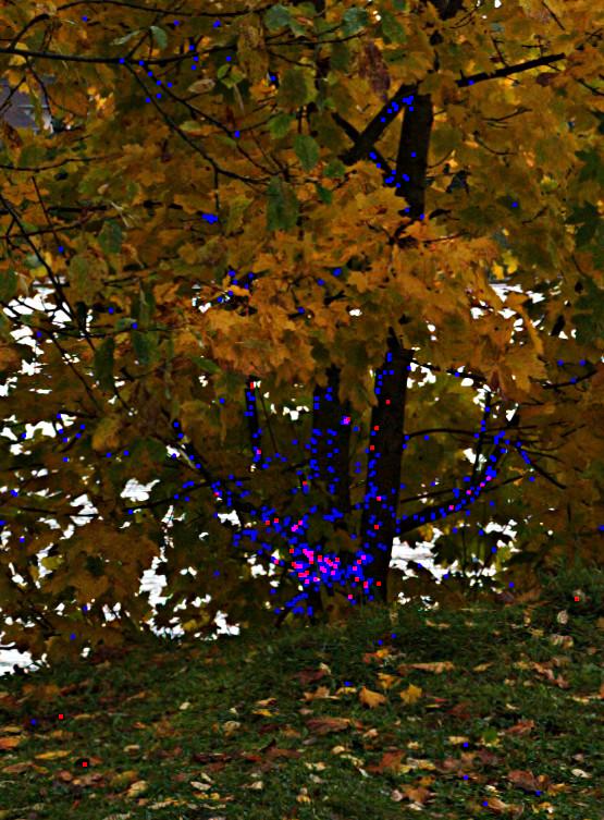 DSC_8897.jpg