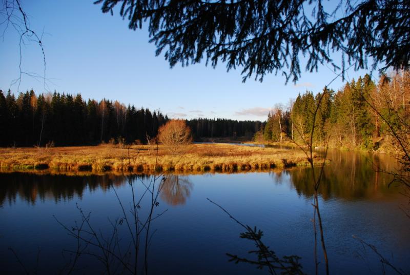 DSC_0001.jpg