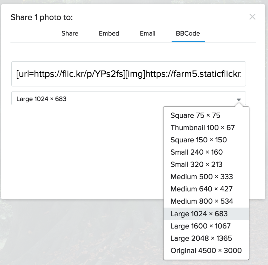 Screen Shot 2017-11-19 at 00.02.01.png
