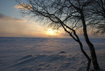 DSC_0095.jpg