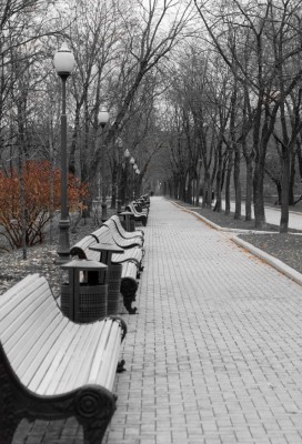 DSC_20010011.jpg